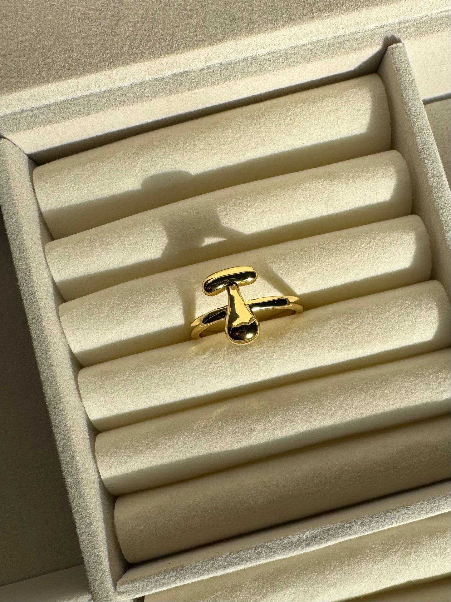Initial Ring