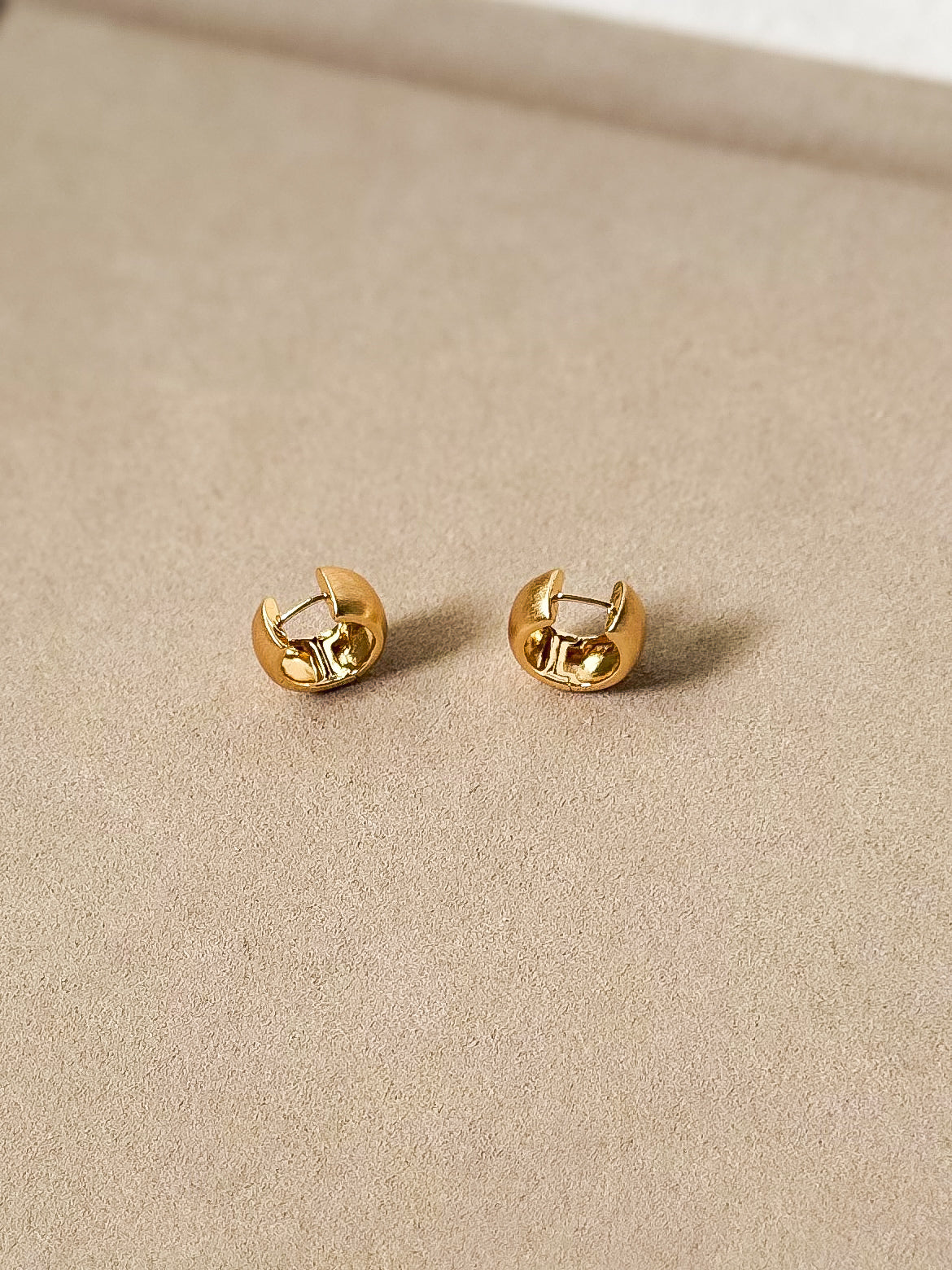Metal Muse (matte) earrings
