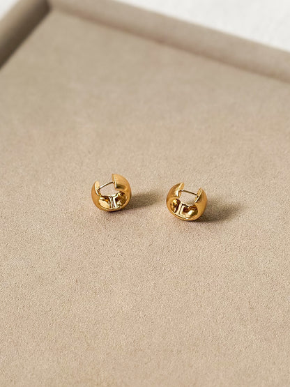 Metal Muse (matte) earrings