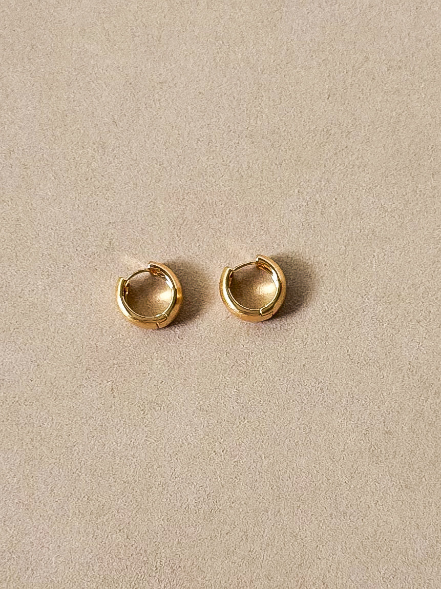 Metal Muse (matte) earrings
