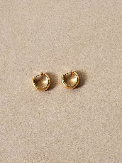 Metal Muse (matte) earrings